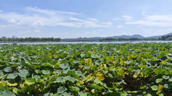 钱程速配 江南7日游，这趟旅行比读书还涨见识。第四篇：杭州西湖十景