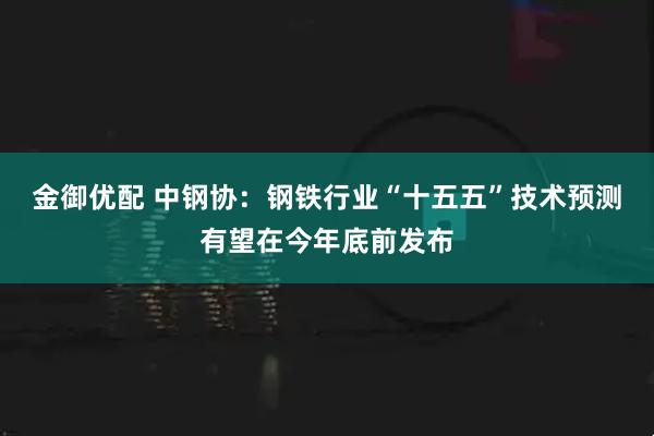 金御优配 中钢协：钢铁行业“十五五”技术预测有望在今年底前发布