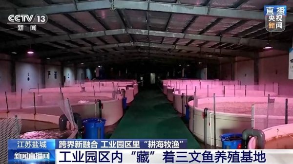 世纪汇通 液化天然气储备基地里能养三文鱼？冷能解锁“冷经济”