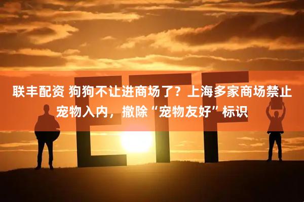 联丰配资 狗狗不让进商场了？上海多家商场禁止宠物入内，撤除“宠物友好”标识